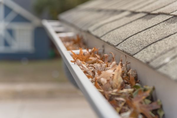 Leaf Barrier Installation in Reading